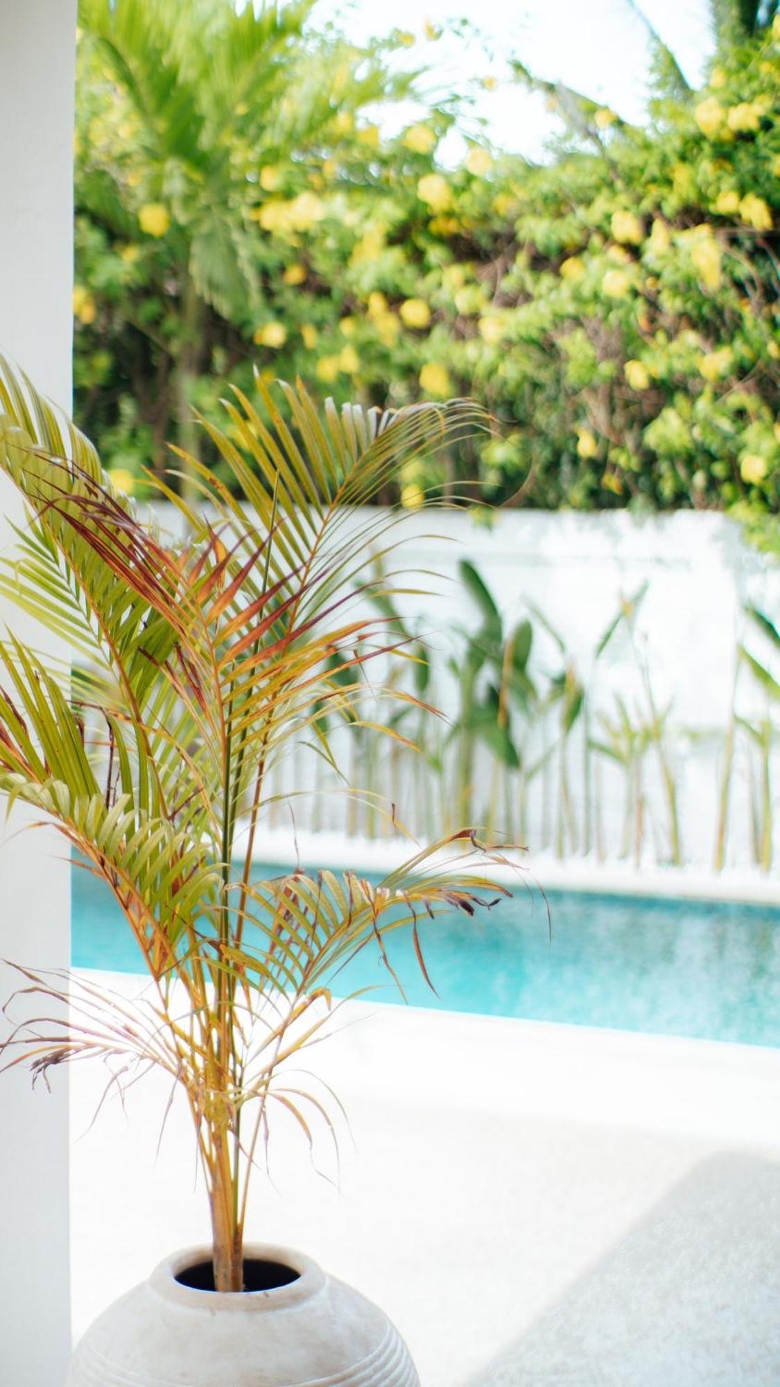 The White Bay Lombok Apartment Kuta  Ngoại thất bức ảnh